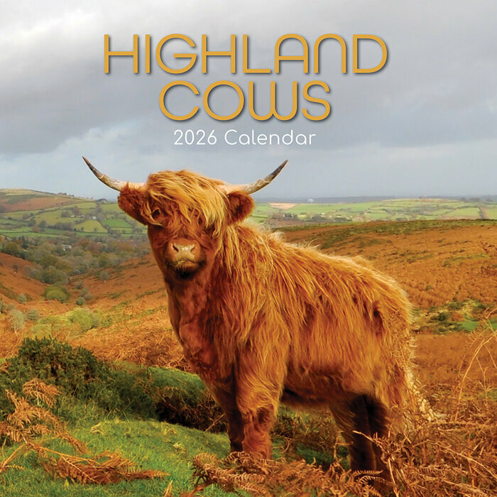 Calendrier Mural 2026 Vaches des Highlands