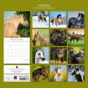 Calendrier papier 2026 Chevaux 
