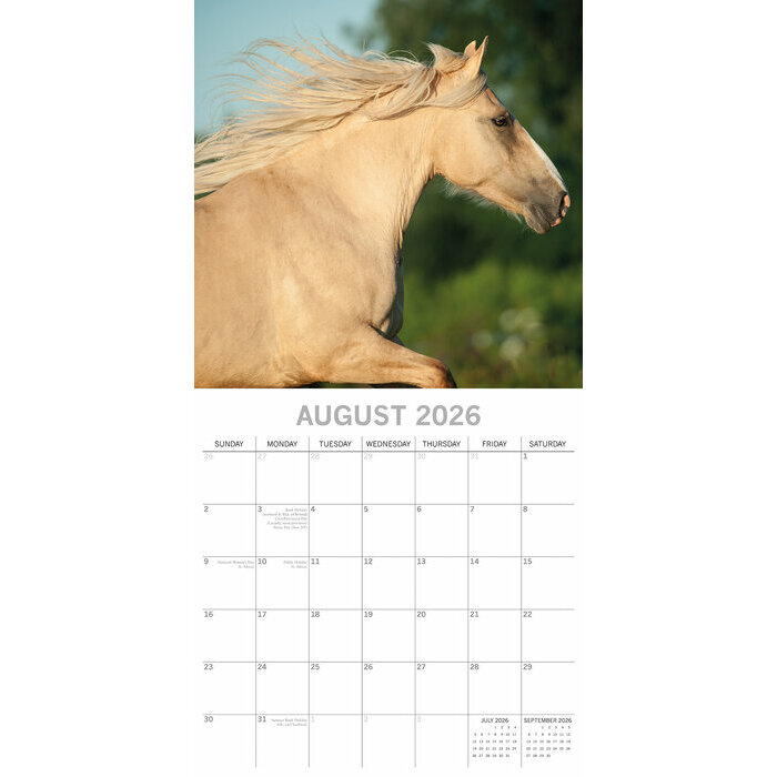 Calendrier Mural 2026 Chevaux 