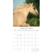 Calendrier Mural 2026 Chevaux 