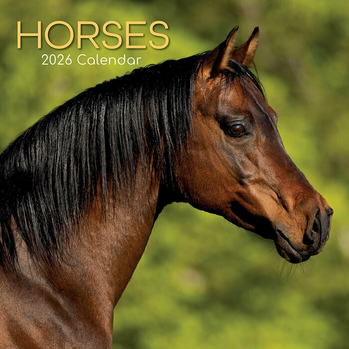 Calendrier Mural 2026 Chevaux 
