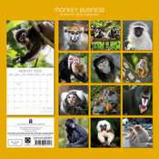 Calendrier  2026 Singe et Magouille