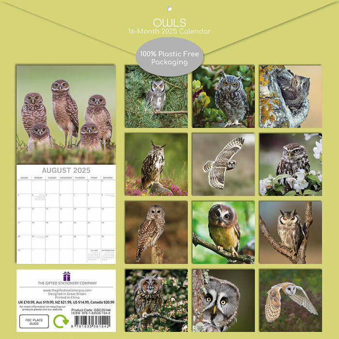 Calendrier Papier 2025 Chouettes Majestueuses