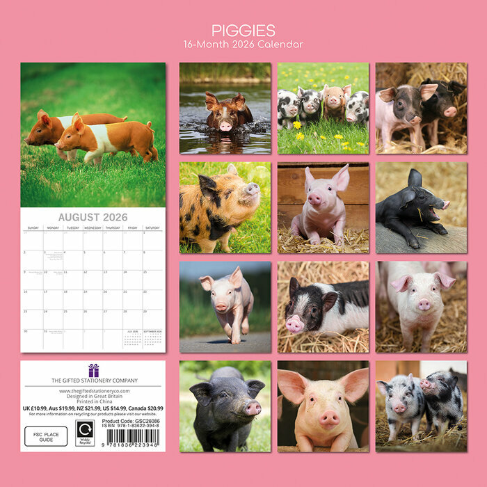 Calendrier 2026 Ferme et Cochons Cochon 