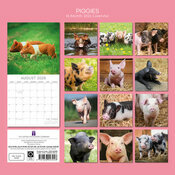 Calendrier 2026 Ferme et Cochons Cochon 