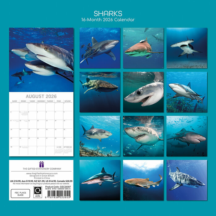Calendrier  2026 Requins Squales