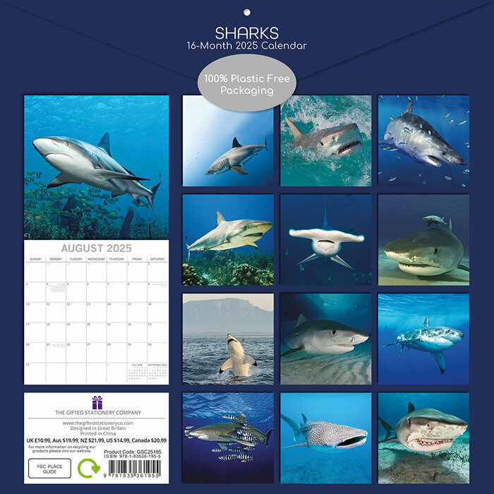 Calendrier Papier 2025 Requins Squales