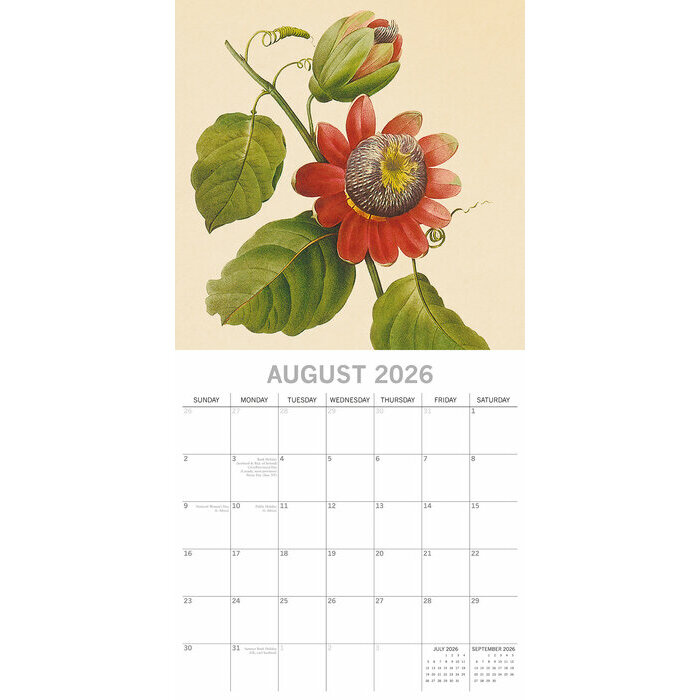Calendrier Mural 2026 Redouté  Fleurs Botanique