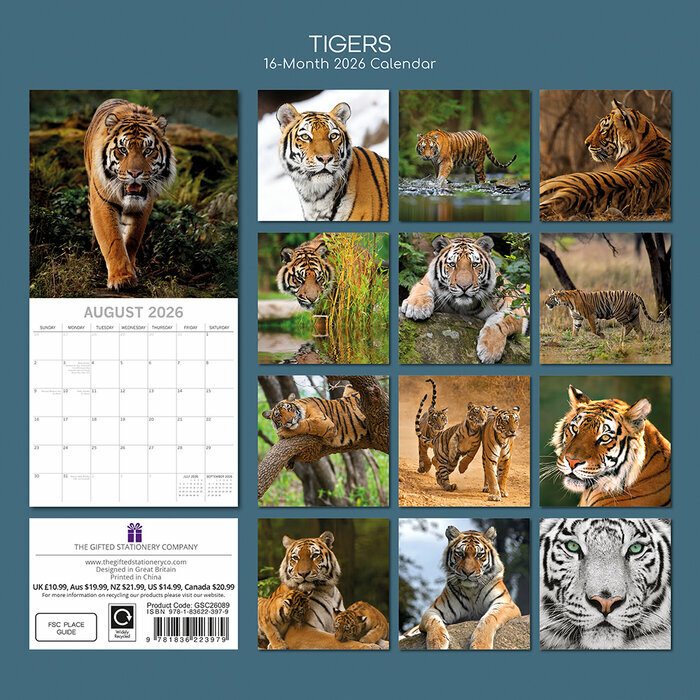 Calendrier 2026 Tigre Flins