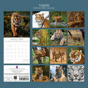 Calendrier 2026 Tigre Flins