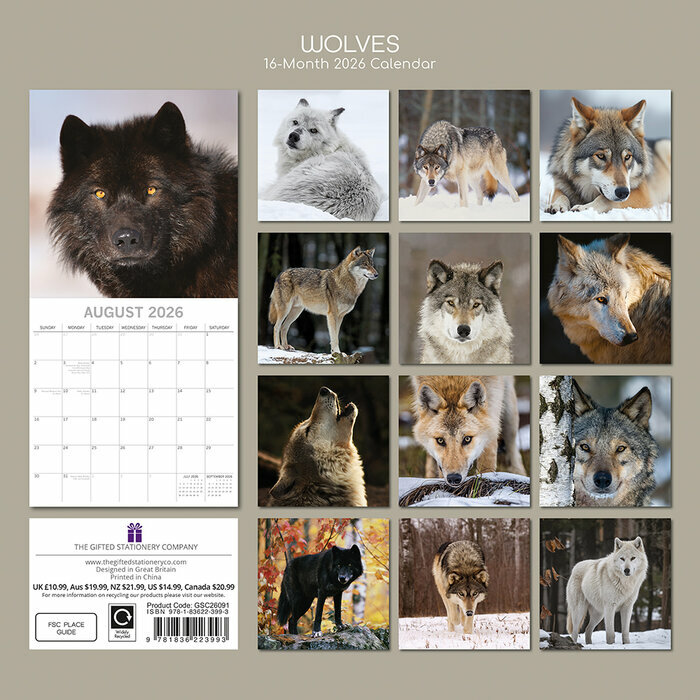 Calendrier 2026 Loups Louveteau