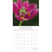 Calendrier papier 2026 Grenouilles Fabuleuses 