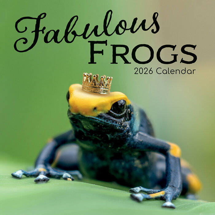 Calendrier Mural 2026 Grenouilles Fabuleuses 