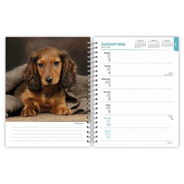 Agenda Papier 2026 Chien Race Teckel