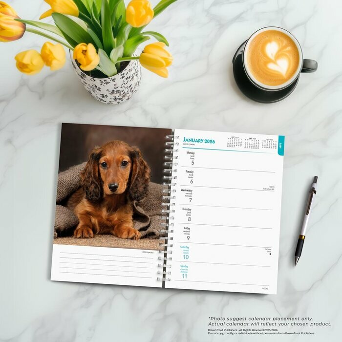 Agenda 2026 Chien Race Teckel