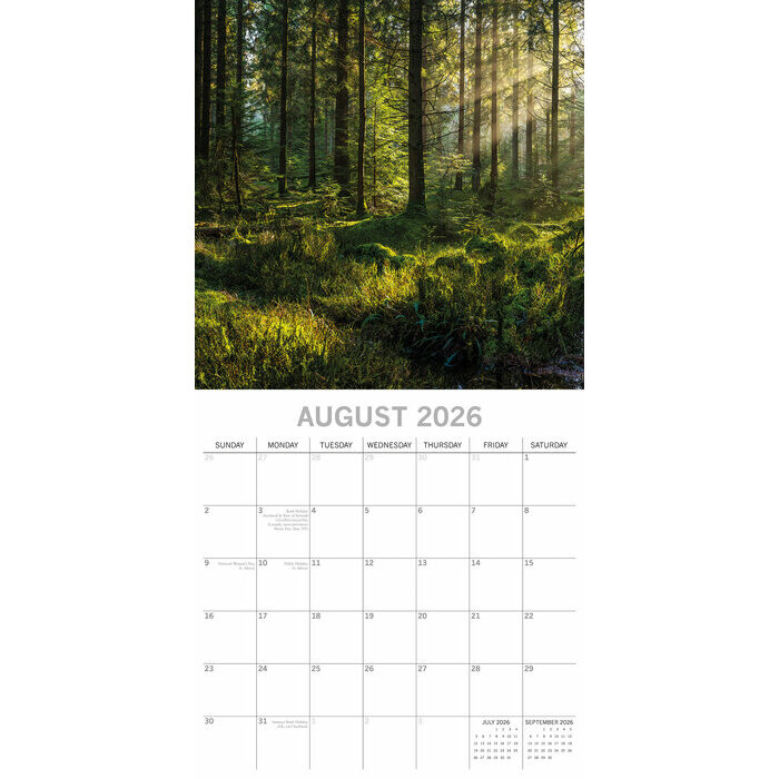Calendrier papier 2026Forts et Jungle