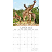 Calendrier Elephant 2025 Safari Animaux Sauvages
