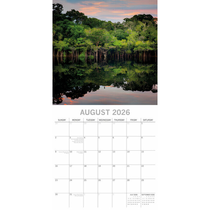 Calendrier papier 2026 Jungles et ses Animaux