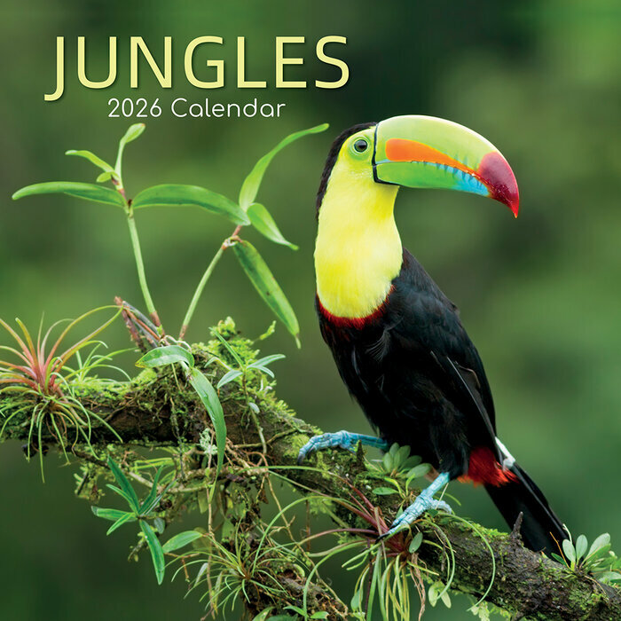 Calendrier Mural 2026 Jungles et ses Animaux
