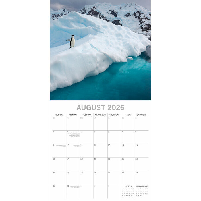 Calendrier Mural 2026 Antarctique Icebergs