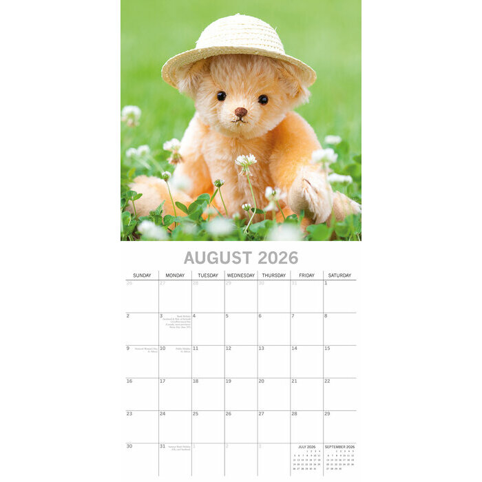 Calendrier papier 2026 Tendres Oursons Peluches