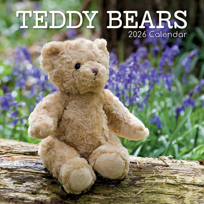 Calendrier Mural 2026 Tendres Oursons Peluches