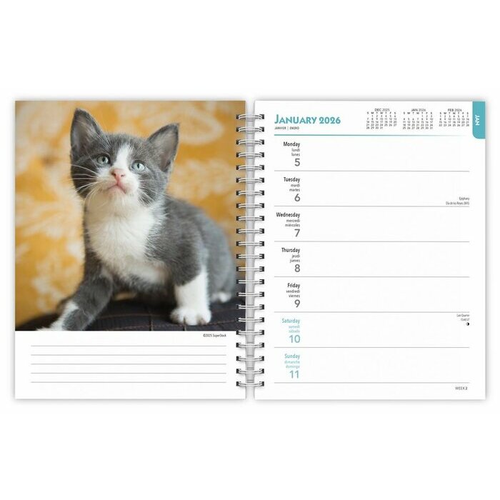 Agenda 2026 Spirale Chatons