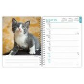 Agenda 2026 Spirale Chatons