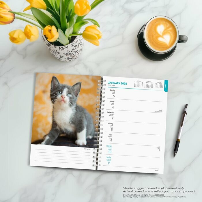 Agenda Papier 2026 Chatons