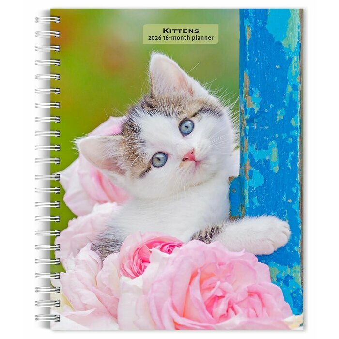 Agenda Papier 2026 Spirale Chatons