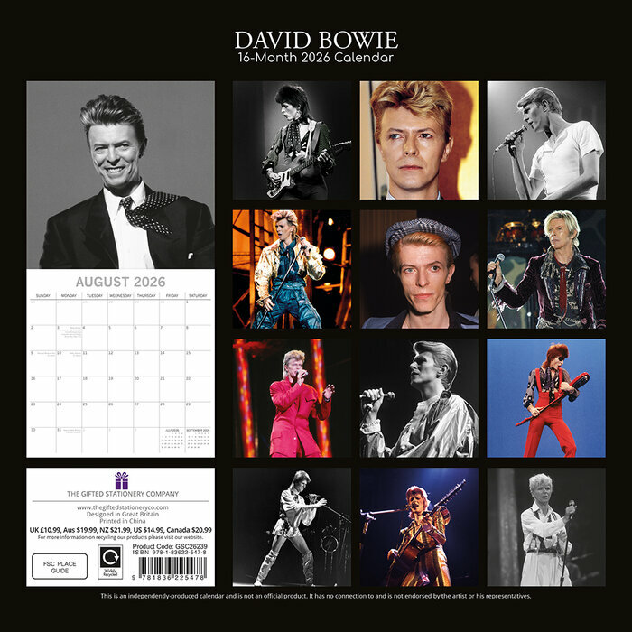 Calendrier Papier 2025 David Bowie Chanteur Pop
