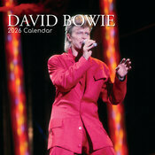 Calendrier Mural 2025 David Bowie Chanteur Pop