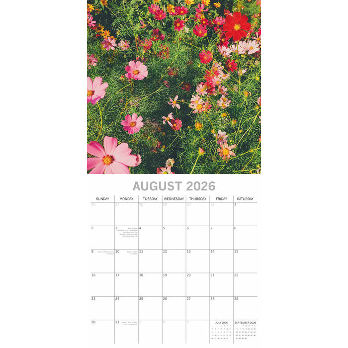 Calendrier Jonquilles 2025 Fleurs des Champs