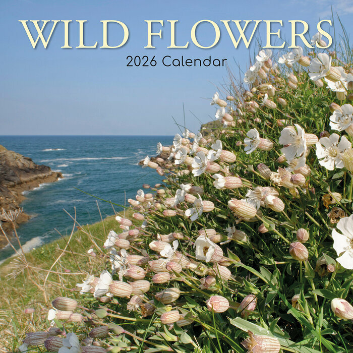 Calendrier Mural 2025 Fleurs des Champs