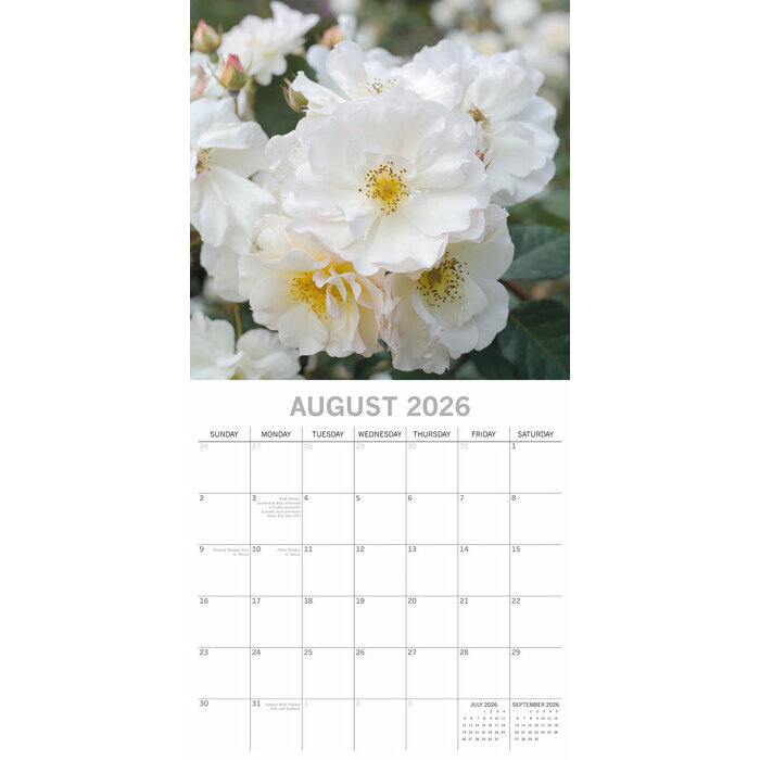 Calendrier Nature 2025 Roses et Boutons de Rose