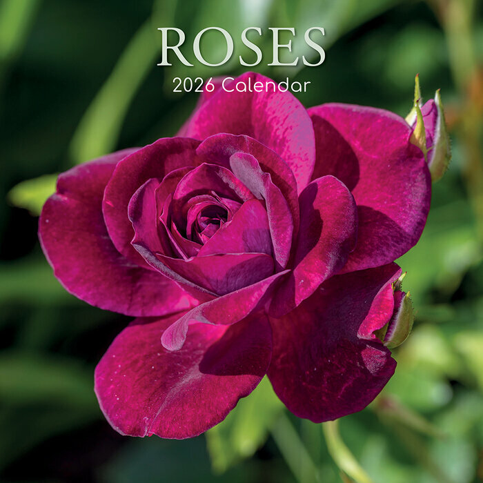 Calendrier Mural 2025 Roses et Boutons de Rose