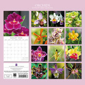 Calendrier papier 2025 Fleurs d'Orchides