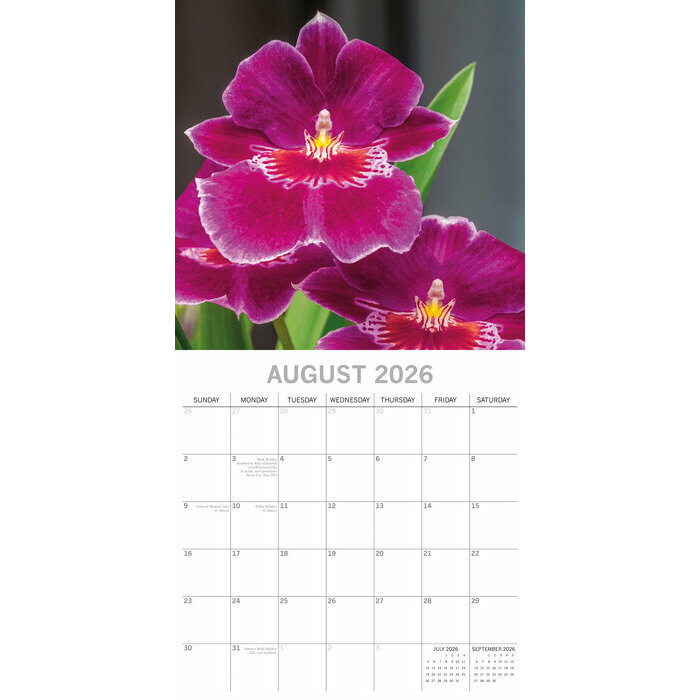 Calendrier Phalaenopsis 2025 Fleurs d'Orchides