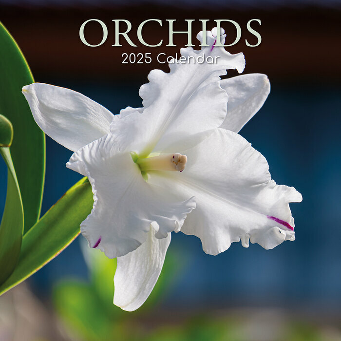 Calendrier Mural 2025 Fleurs d'Orchidées