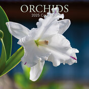 Calendrier Mural 2025 Fleurs d'Orchidées