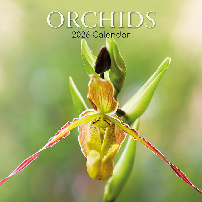 Calendrier Mural 2025 Fleurs d'Orchides