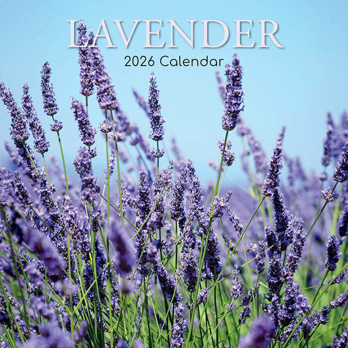 Calendrier Mural 2026 Provence et sa Lavande