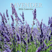 Calendrier Mural 2026 Provence et sa Lavande
