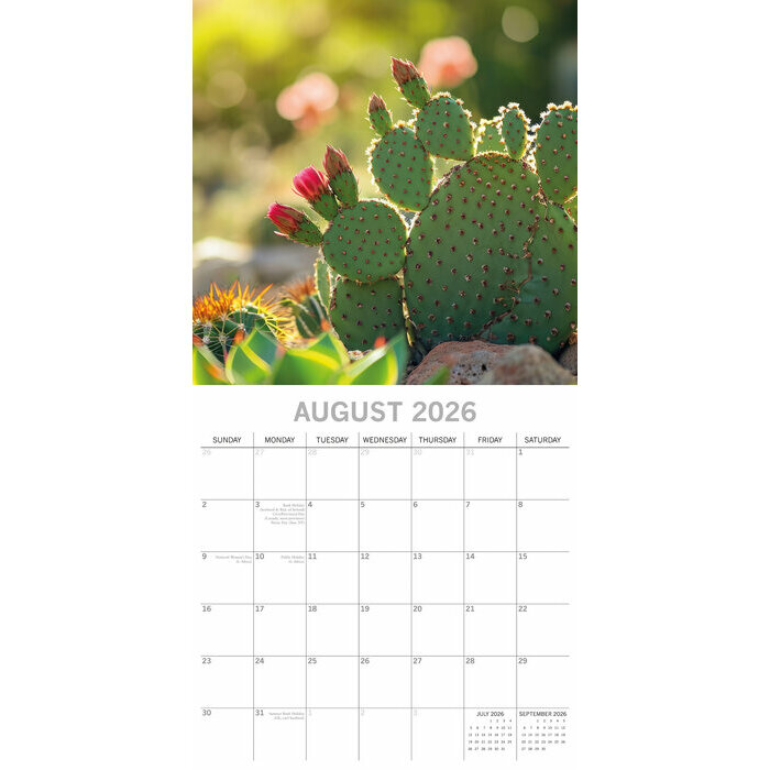 Calendrier papier 2026 Cactus et Plantes Succulentes