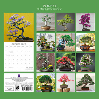 Calendrier 2026 Bonsaïs d'Intérieur Ficus Erable