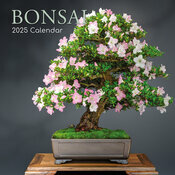 Calendrier Mural 2025 Bonsaïs d'Intérieur Ficus Erable