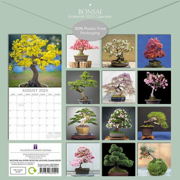 Calendrier Papier 2025 Bonsaïs d'Intérieur Ficus Erable