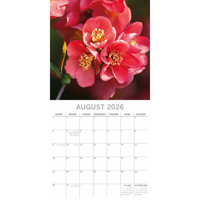 Calendrier Mural 2026 Arbres en Fleurs Printemps 
