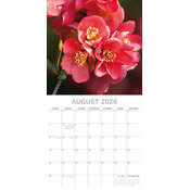 Calendrier Mural 2026 Arbres en Fleurs Printemps 