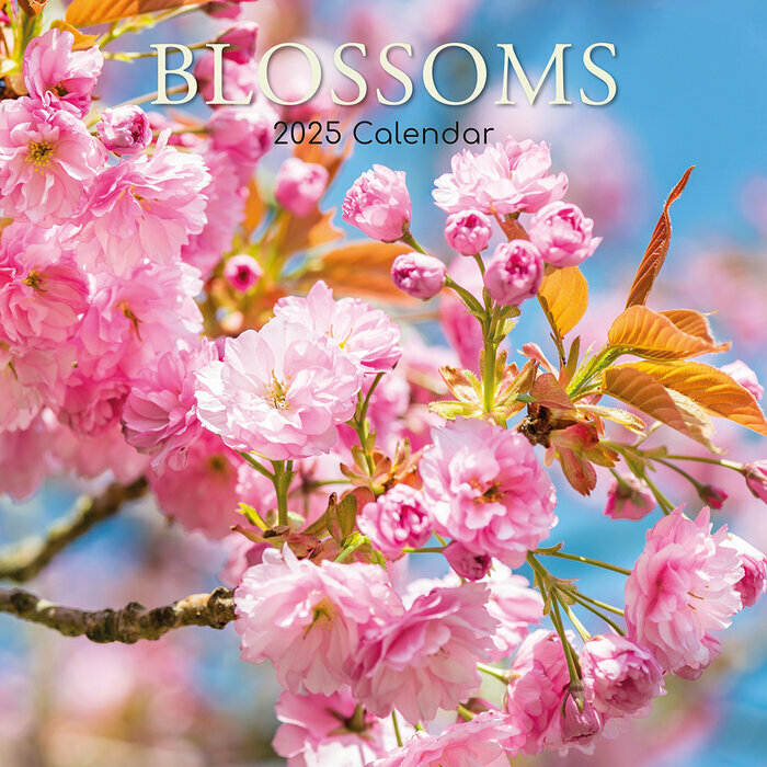 Calendrier Mural 2025 Arbres en Fleurs Printemps Cerisiers